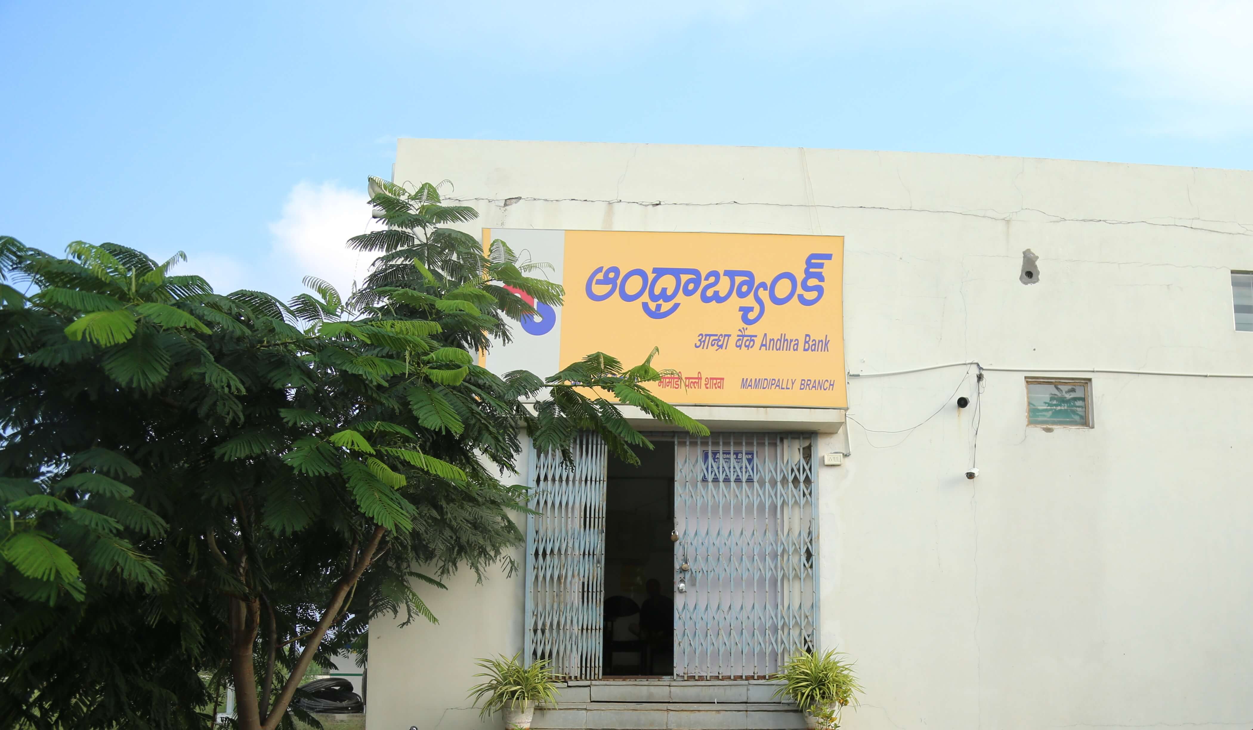 Branch of Andhra Bank